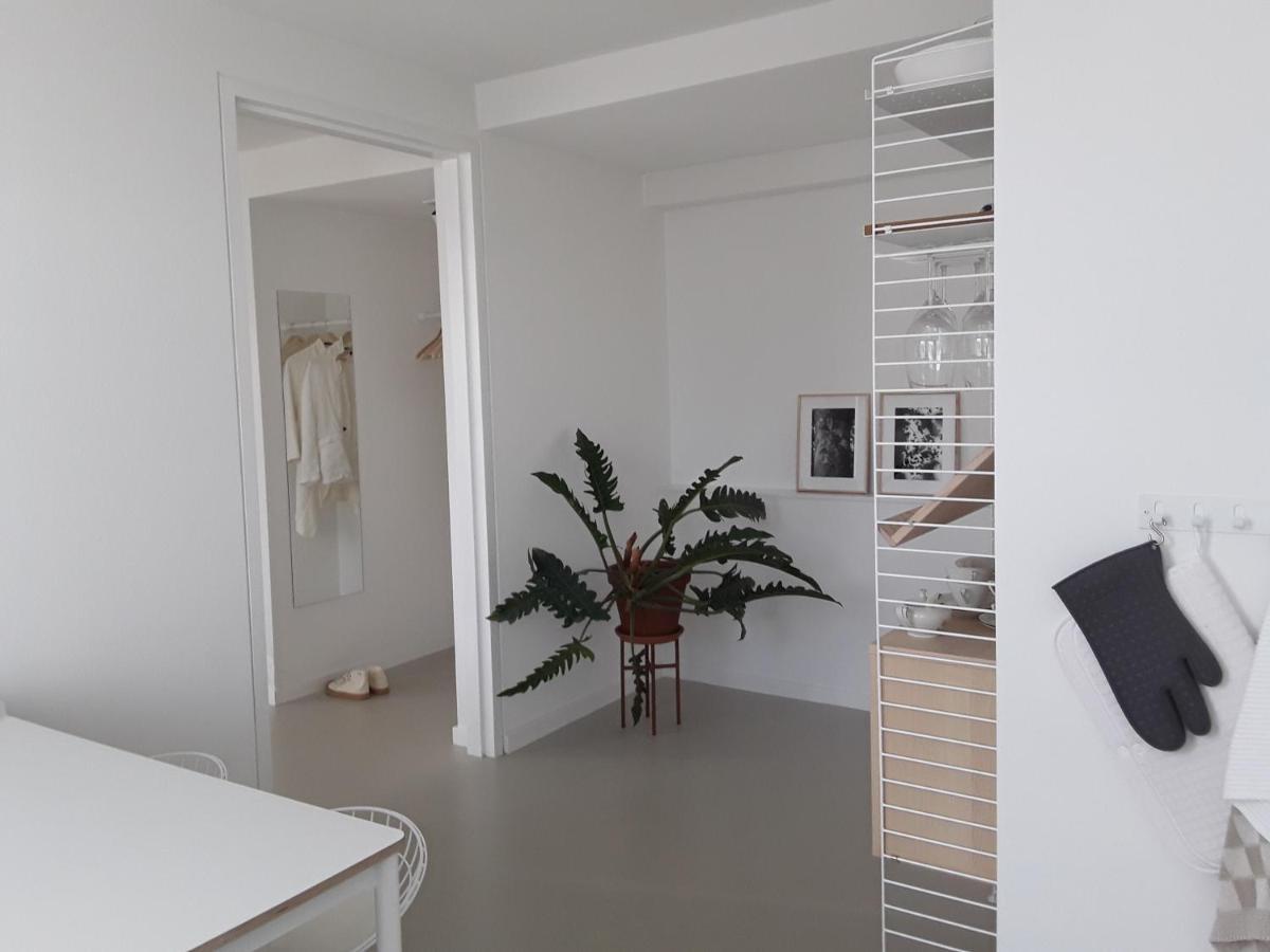 Maan B&B + Galerie 科特海讷 外观 照片