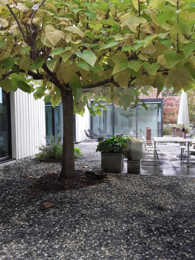 Maan B&B + Galerie 科特海讷 外观 照片